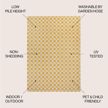 Aimee Traditional Cottage Checkerboard Indoor/Outdoor Area Rug